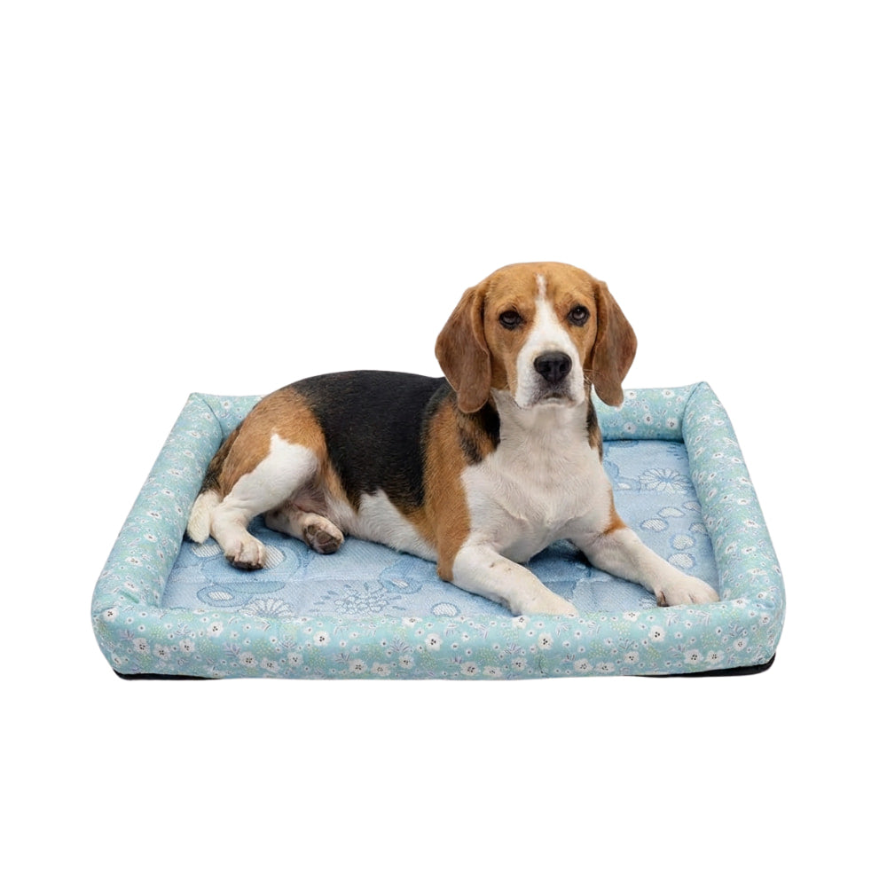 CoolBed – Dog Cooling Bed
