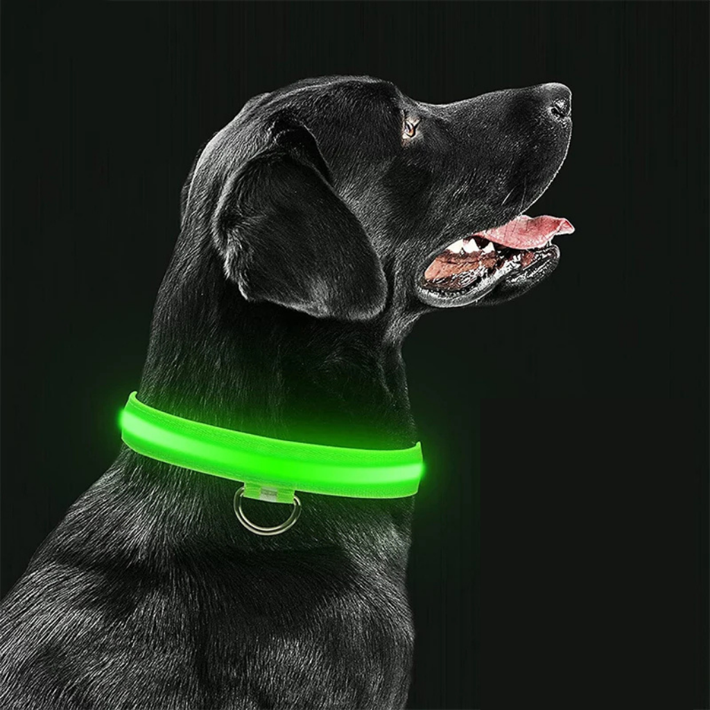 LED Light-Up Dog Collar [Double Offer]