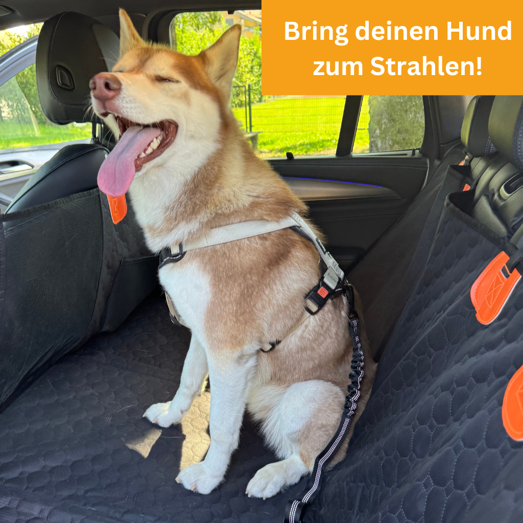 Stable Backseat Protector – Bundle