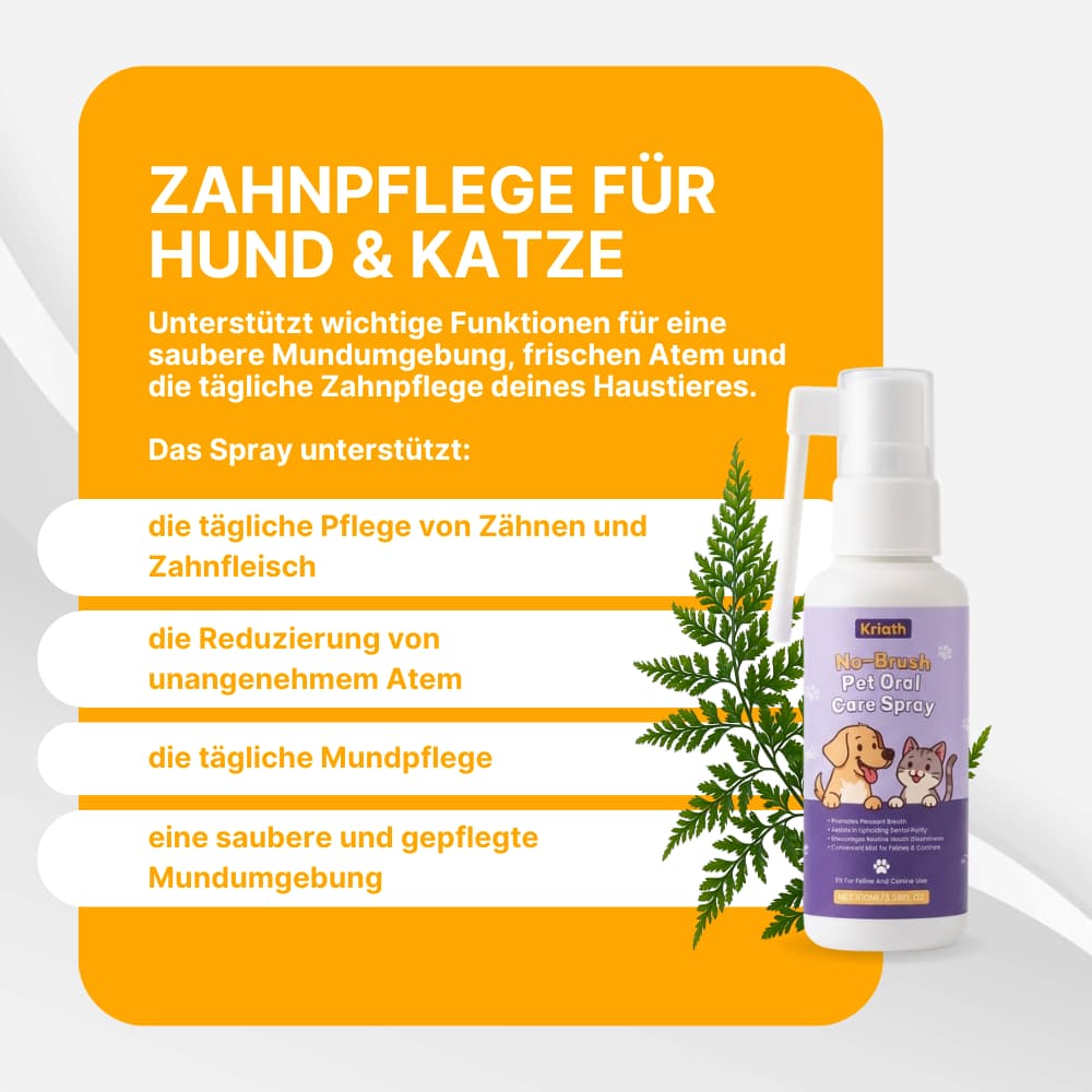 ZahnBalance Zahnpflegespray