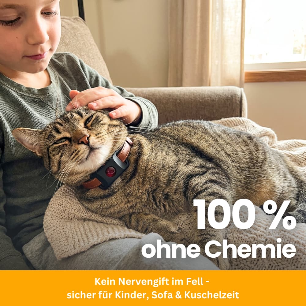 TickGuard Clip – gegen Zecken und Flöhe für Katzen