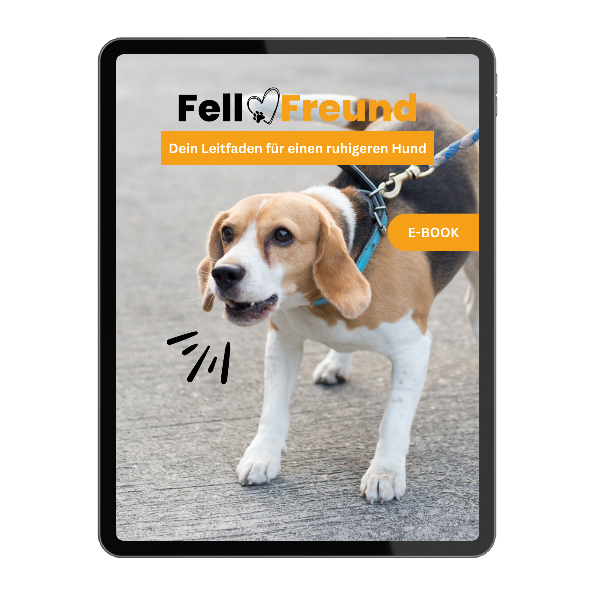 Bellen mit Maß: Dein Leitfaden für einen ruhigeren Hund