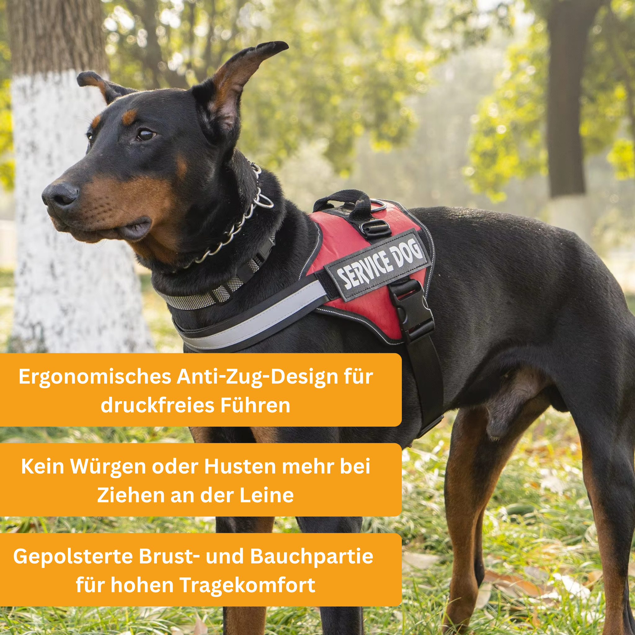 Personaliertes Anti-Zug Hundegeschirr
