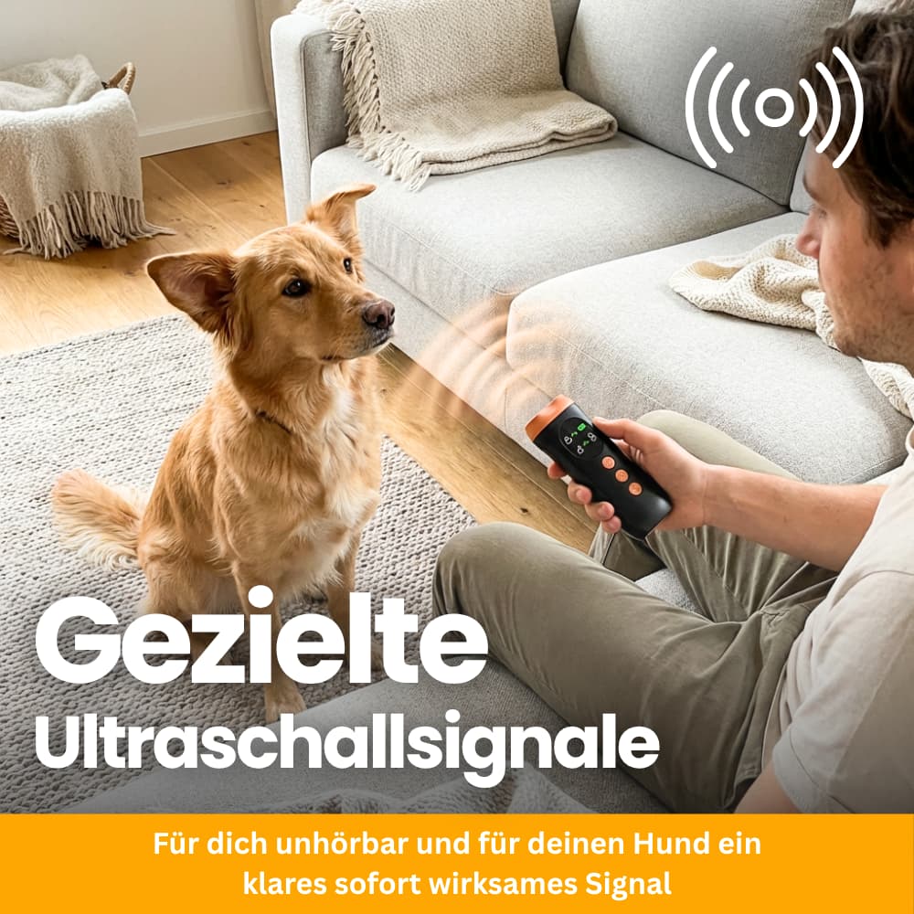 SilentGuard – Sanfte Anti-Bell-Lösung