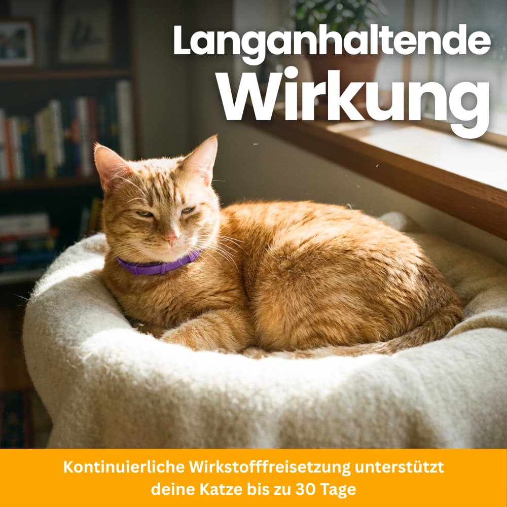 Tierfreundliches Anti-Stress Halsband für Katzen