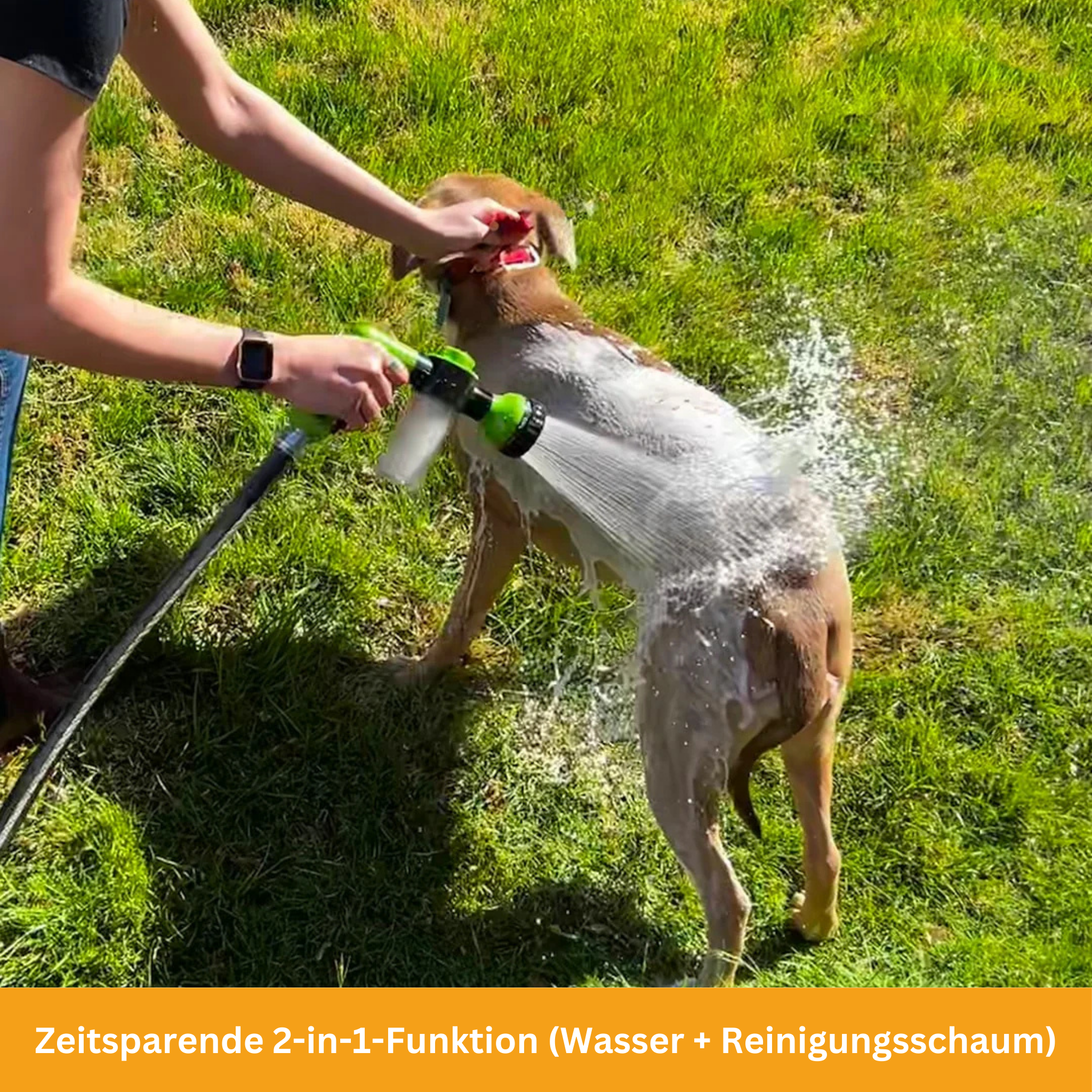 PetFoam Pro – The Foam Cleaner for Pets