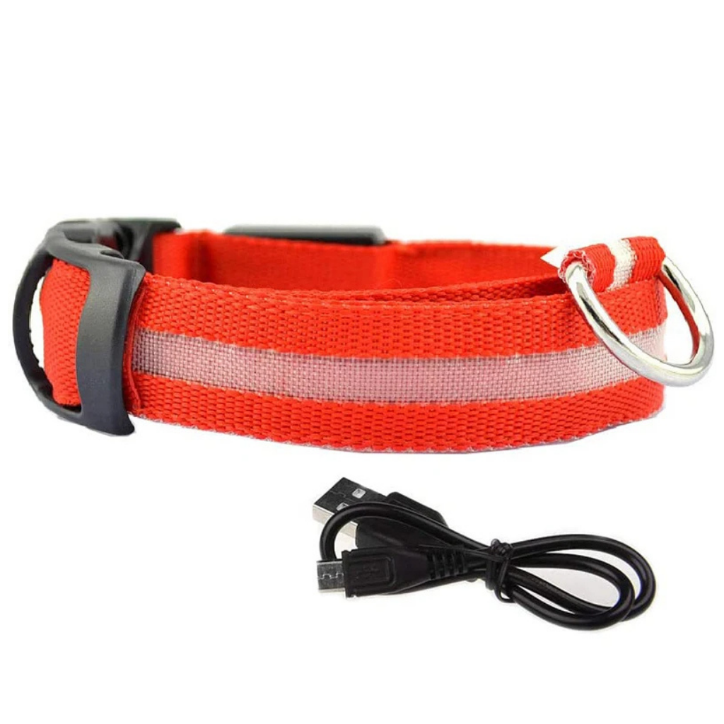 LED Light-Up Dog Collar [Double Offer]
