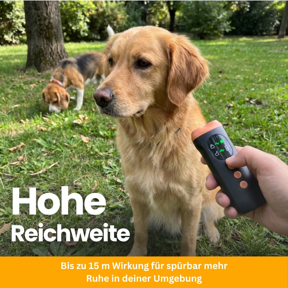 SilentGuard – Sanfte Anti-Bell-Lösung