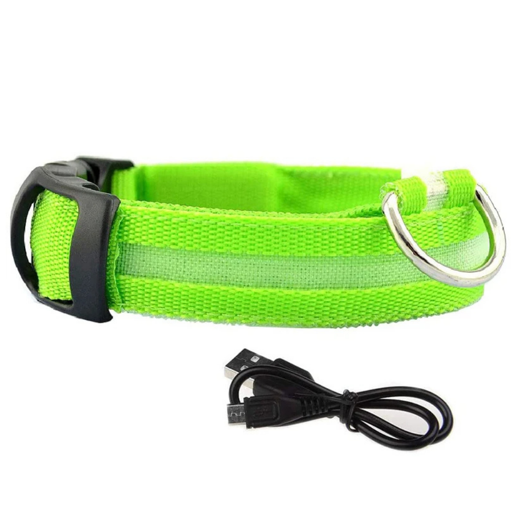 LED Light-Up Dog Collar [Double Offer]
