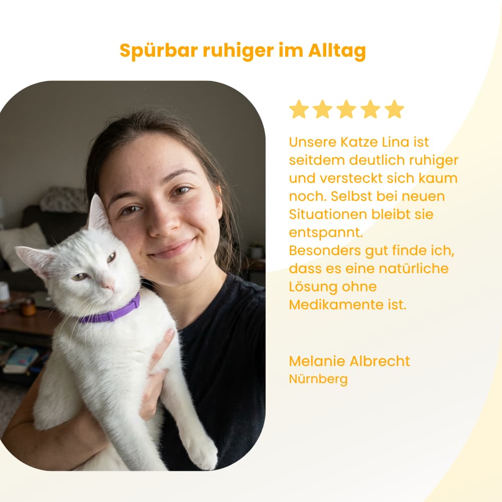 Tierfreundliches Anti-Stress Halsband für Katzen