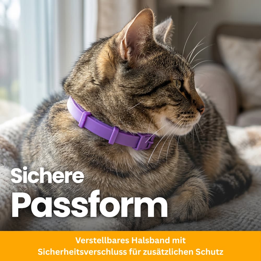 Tierfreundliches Anti-Stress Halsband für Katzen