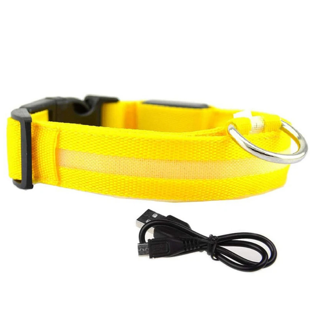 LED Light-Up Dog Collar [Double Offer]