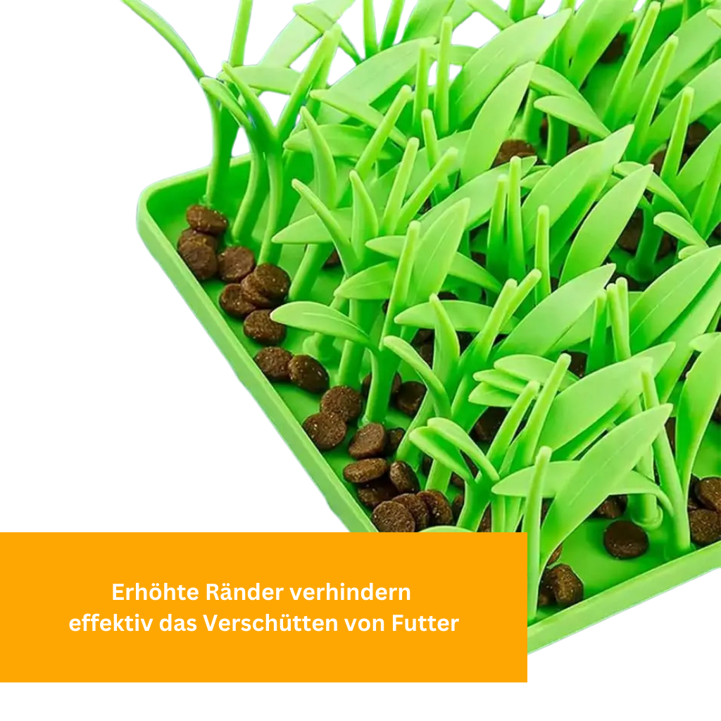 Treat Meadow for Dogs