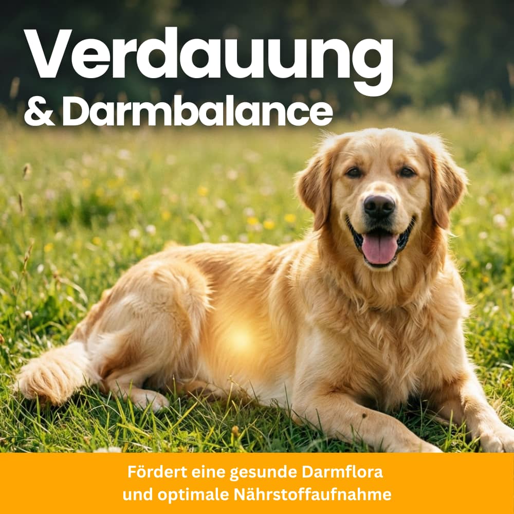 Allergie & Immun Kausnacks für Hunde
