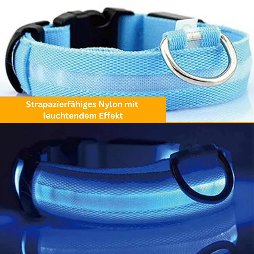 LED Light-Up Collar [Buy 1 Get 1 Free]
