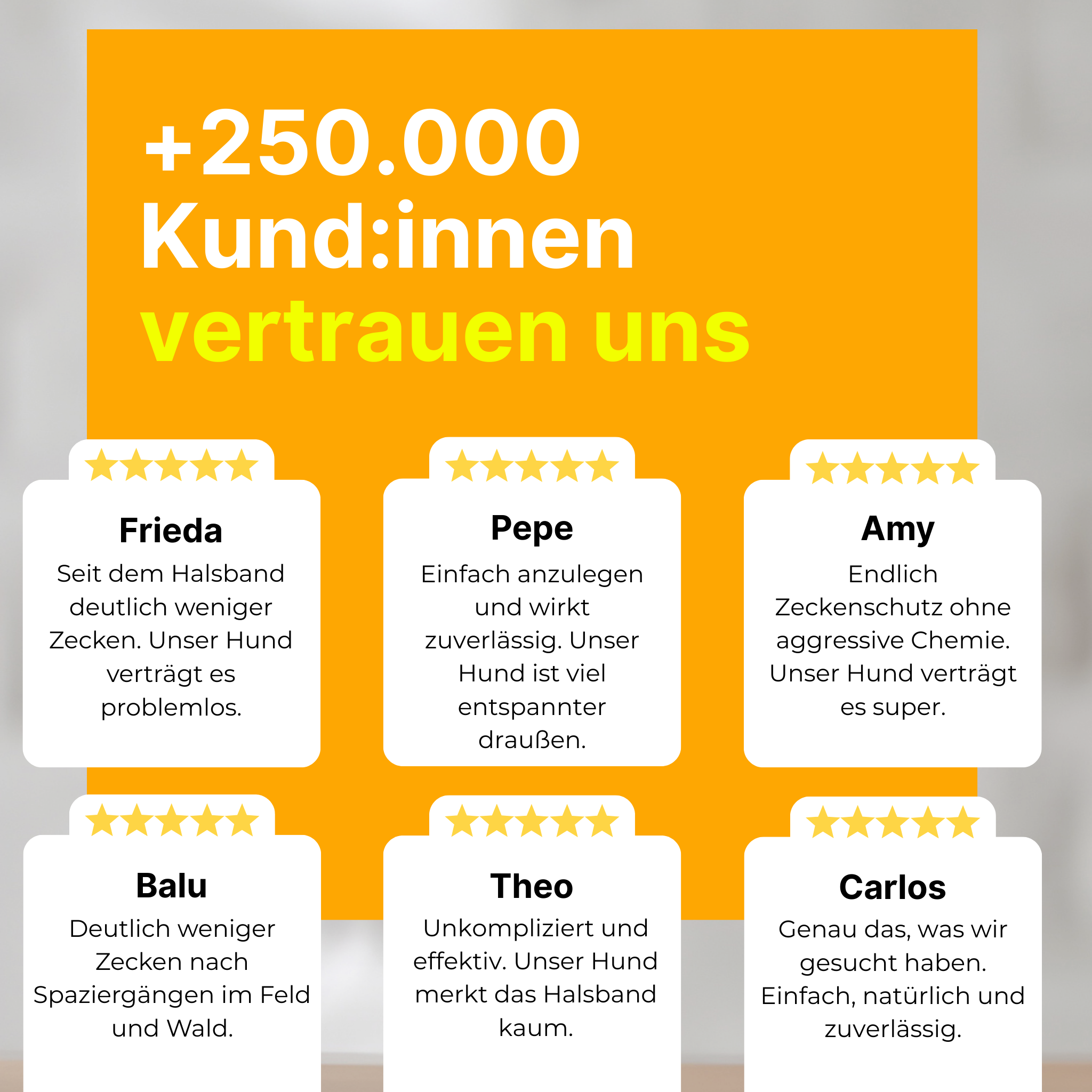 Flea and Tick Protection Collar for Dogs