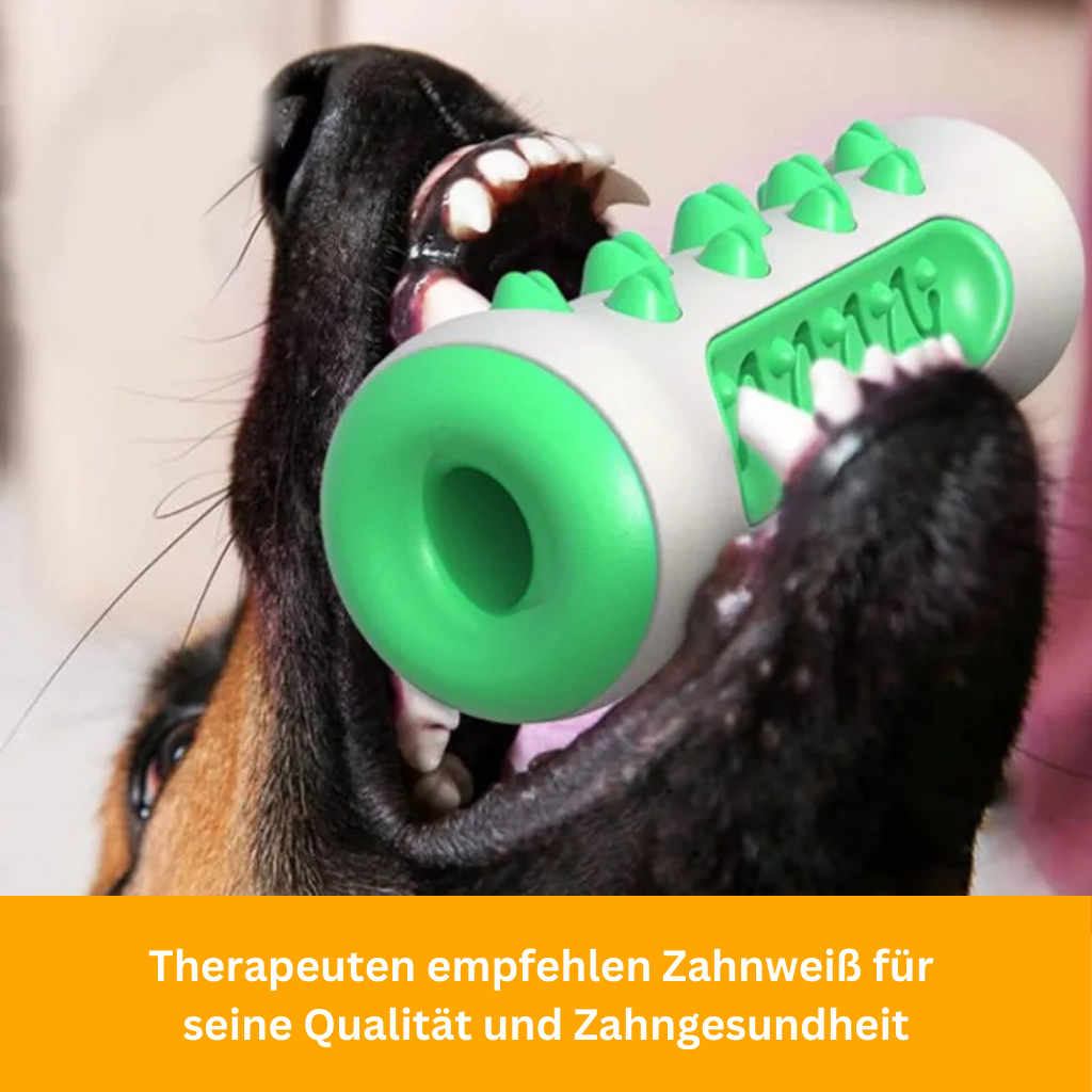 Dog Teeth Whitening – The Indestructible Companion for Clean and Healthy Teeth