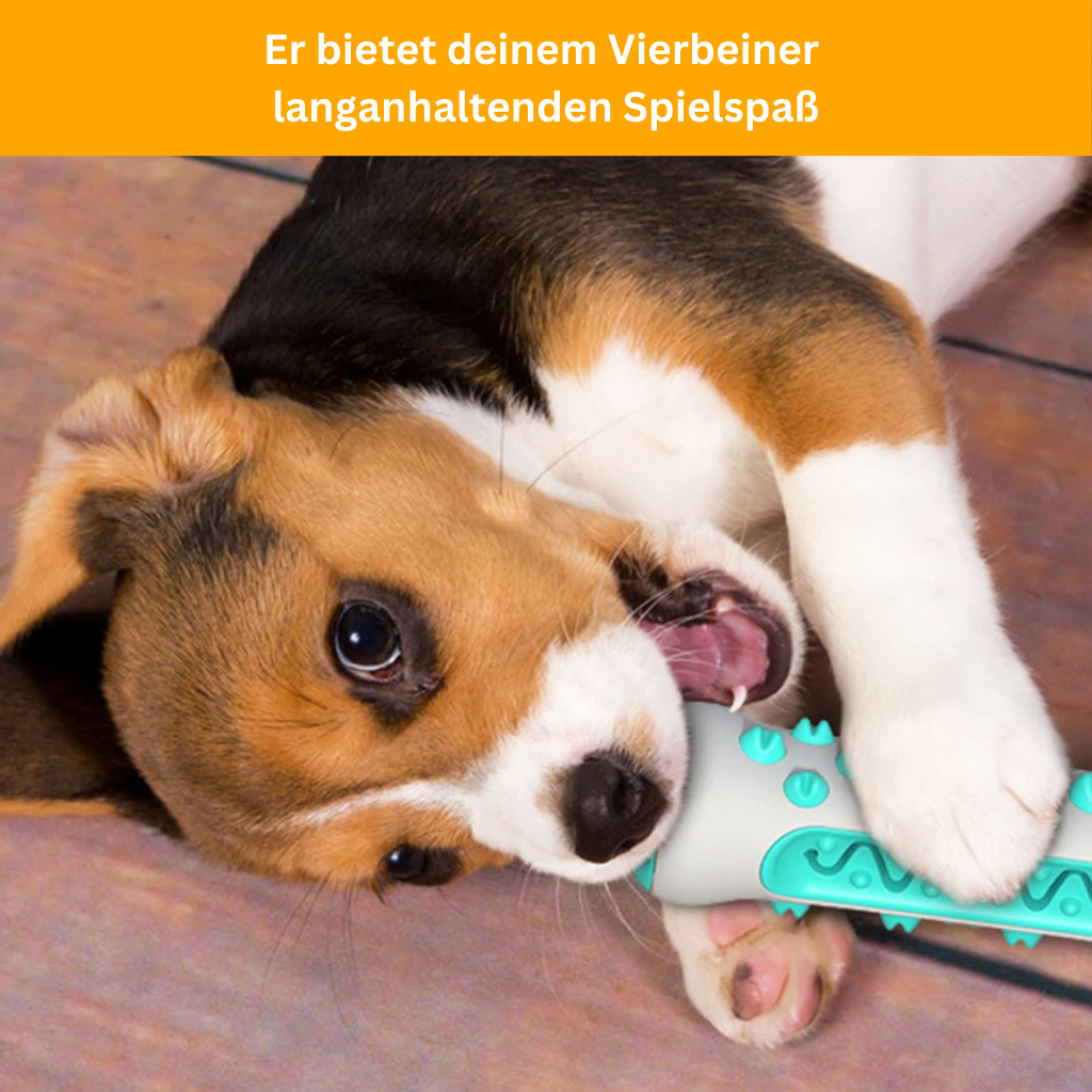 Dog Teeth Whitening – The Indestructible Companion for Clean and Healthy Teeth