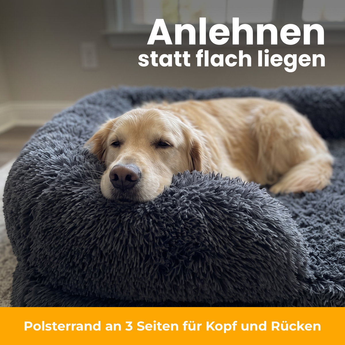 [de] CloudCouch – Hund legt den Kopf auf das Polster der CloudCouch