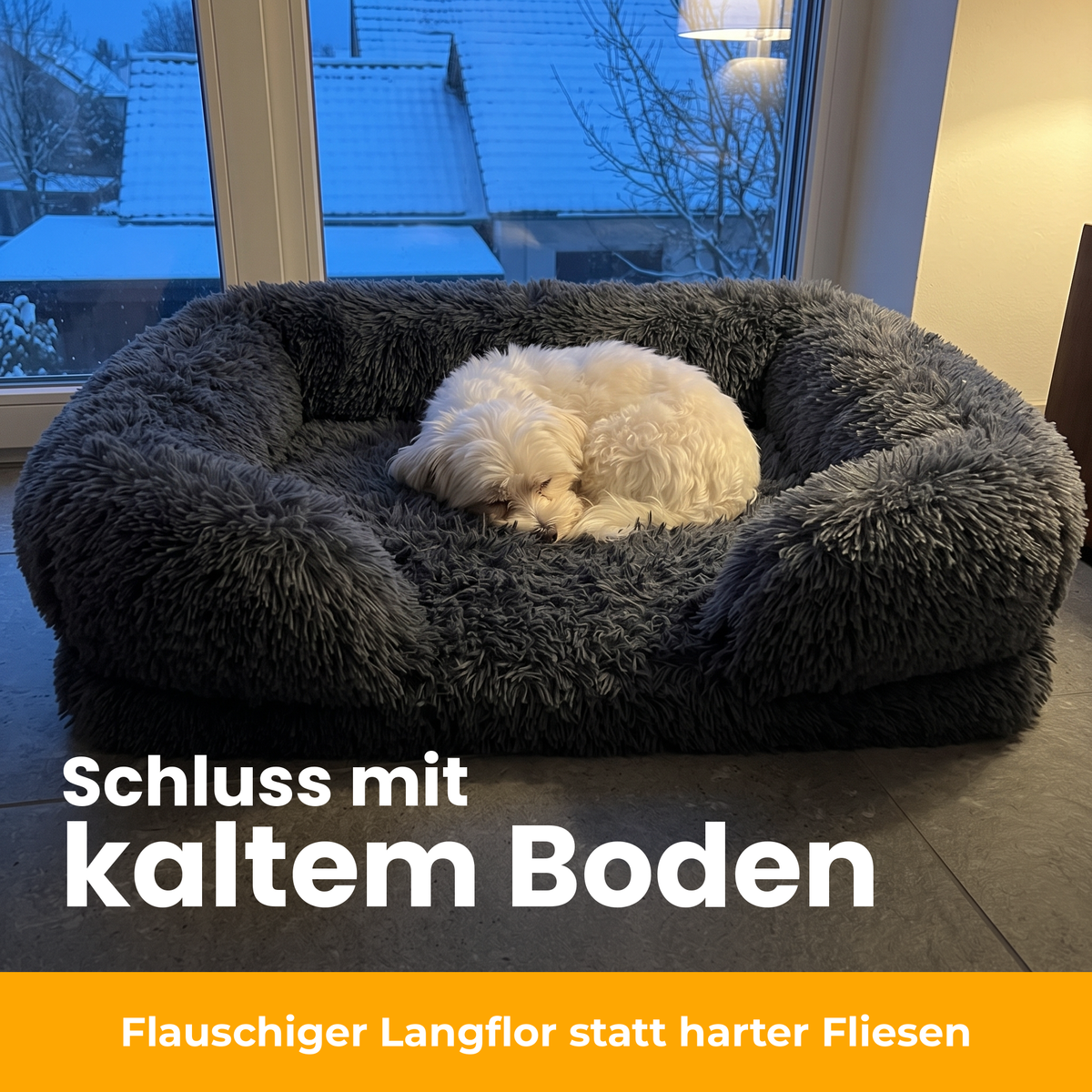 [de] CloudCouch – Kleiner Hund kuschelt sich in den Langflor-Plüsch