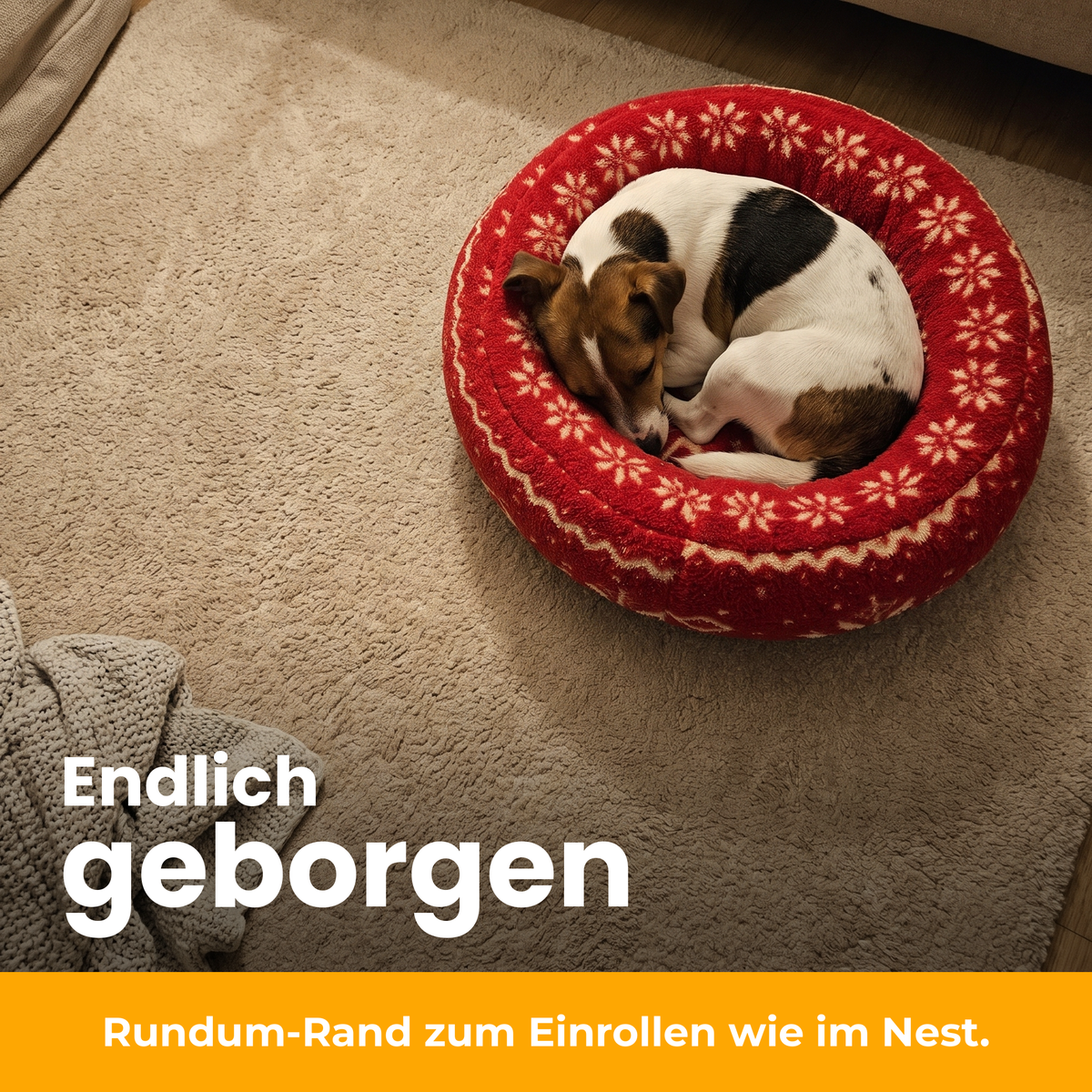 [de] CozyRing – Jack Russell rollt sich im roten Schneeflocken-Bett ein