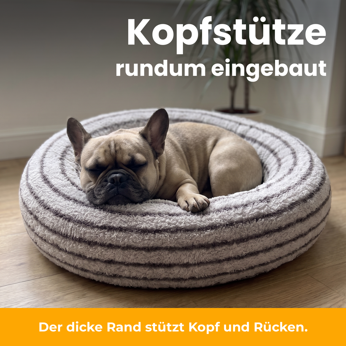 [de] CozyRing – Französische Bulldogge legt den Kopf auf den Rand