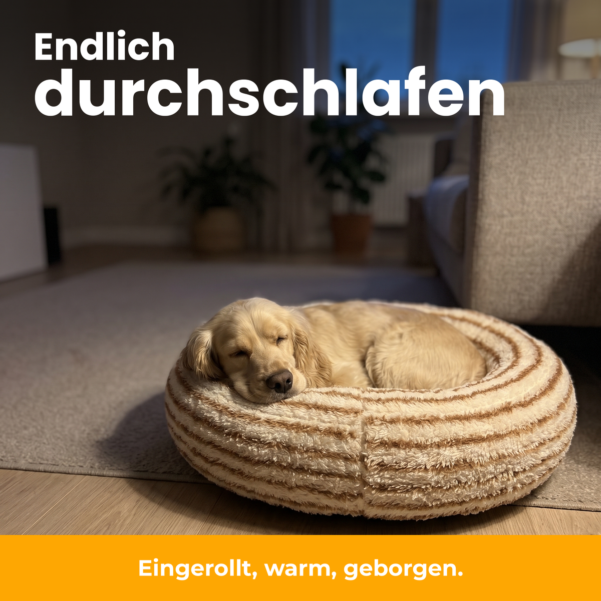 [de] CozyRing – Hund schläft tief eingerollt im Streifen-Karamell-Bett, Kinn auf dem Rand