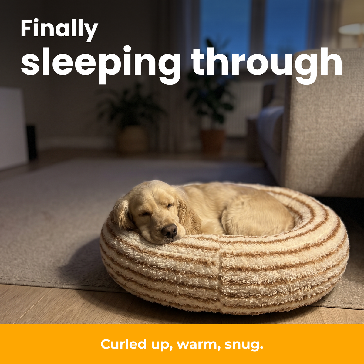 [en] CozyRing – Dog sound asleep, curled up in the Caramel Stripes bed, chin on the rim