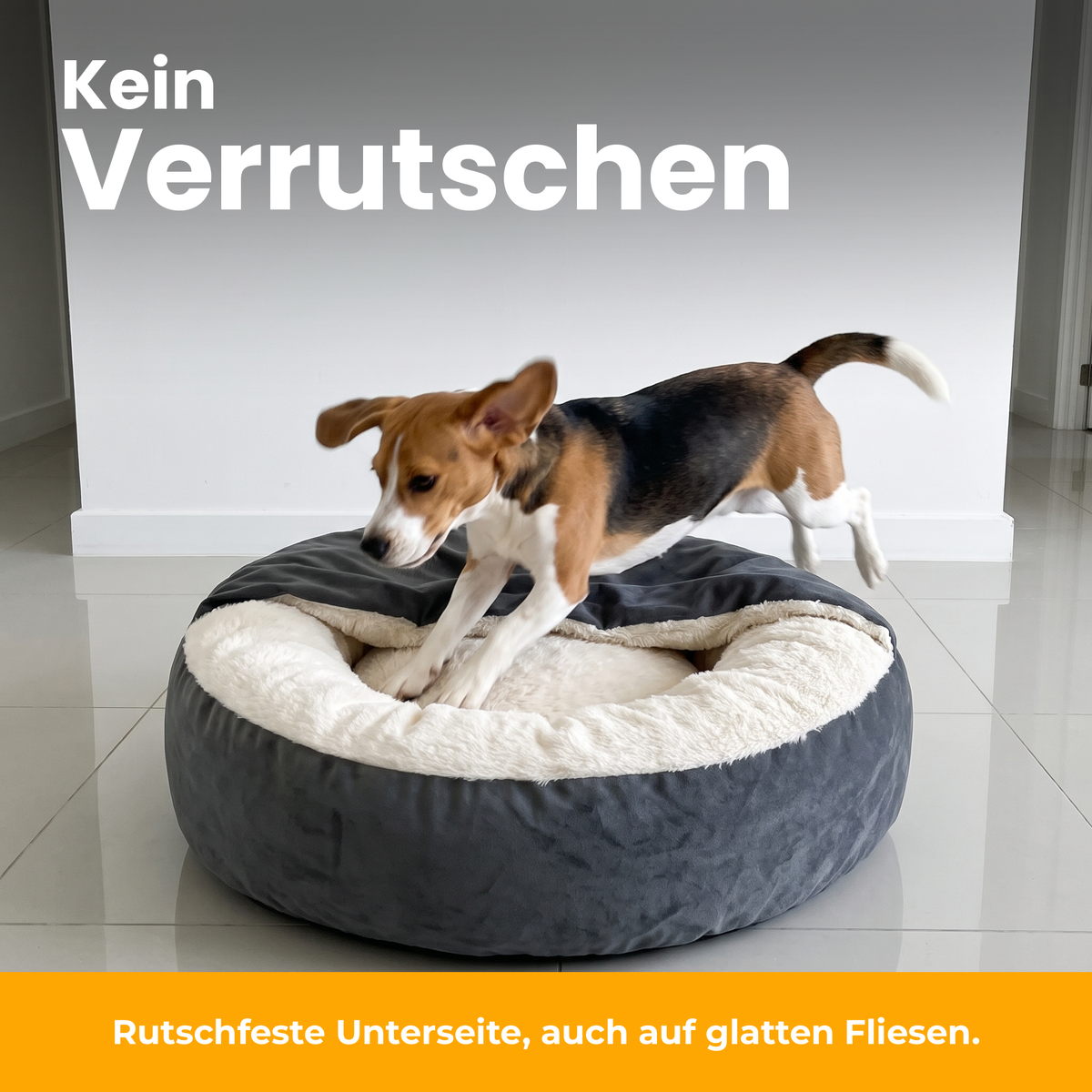 [de] CuddleCave – Beagle springt ins Bett, das auf Fliesen nicht verrutscht
