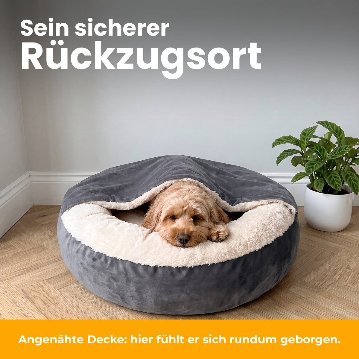 [de] CuddleCave – Cavapoo liegt unter der angenähten Decke in seiner Kuschelhöhle