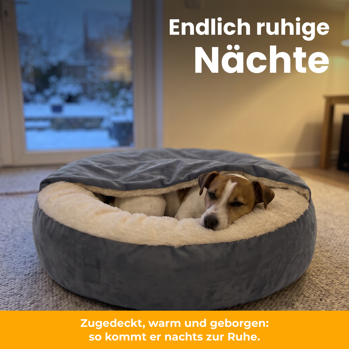 [de] CuddleCave – Jack Russell kuschelt sich an einem Winterabend unter die Decke