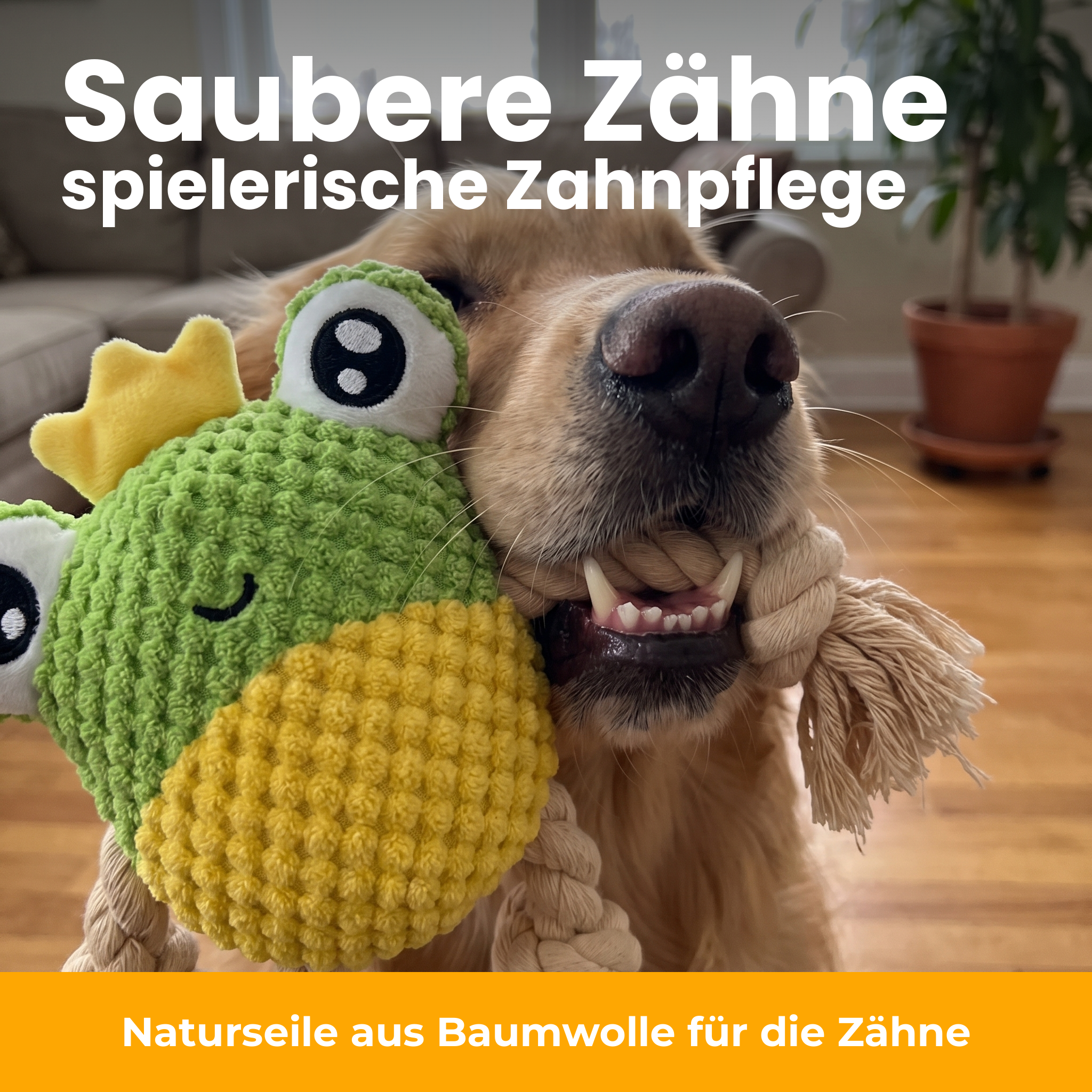 [de] Baumwollseile für spielerische Zahnpflege