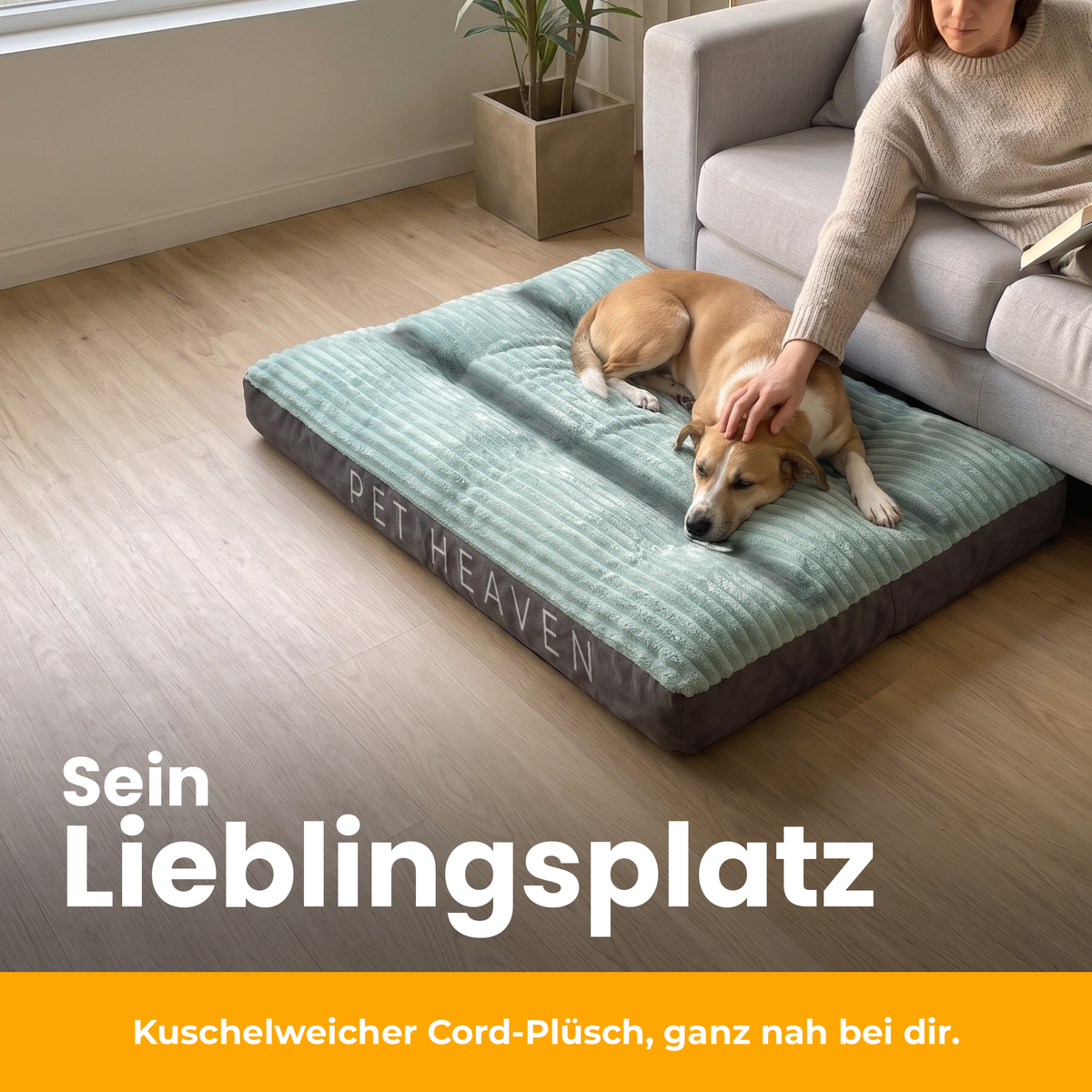 [de] DreamPad – Hund auf DreamPad direkt neben dem Sofa, Besitzerin streichelt ihn