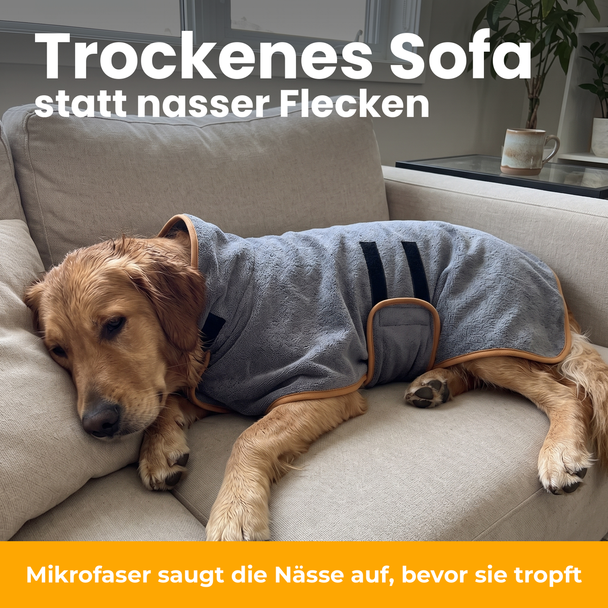 [de] DryKing Hunde-Bademantel – trockenes Sofa