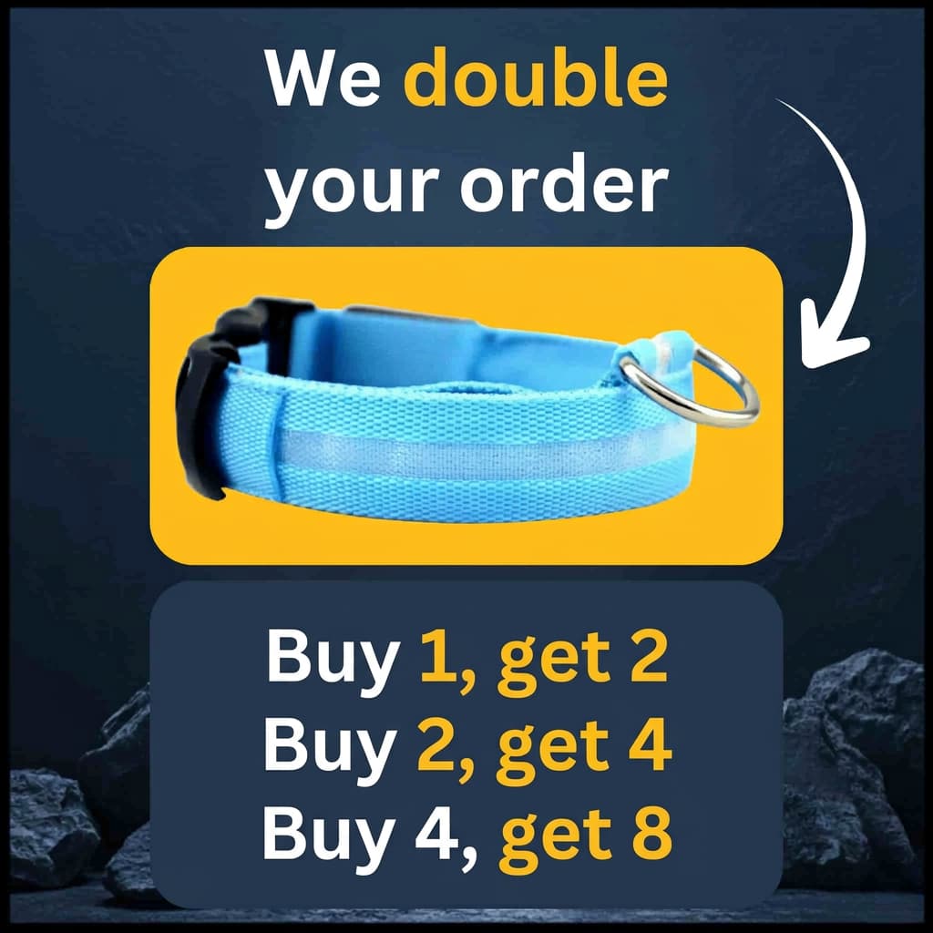 LED Light-Up Dog Collar [Double Offer]