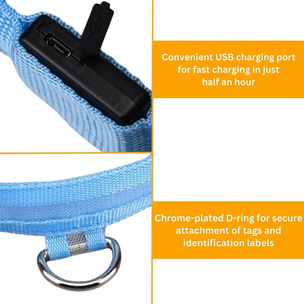 LED Light-Up Dog Collar [Double Offer]