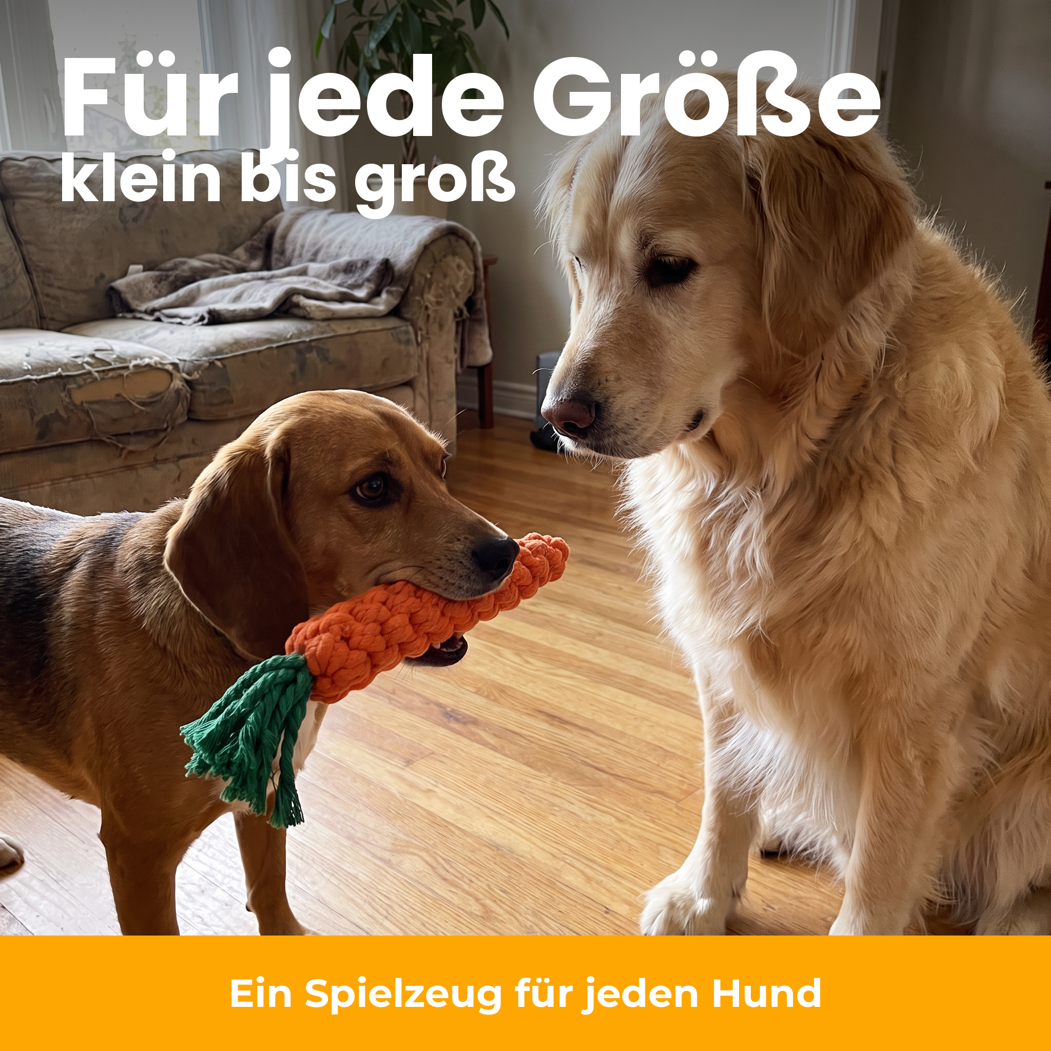 [de] Für jede Hundegröße geeignet