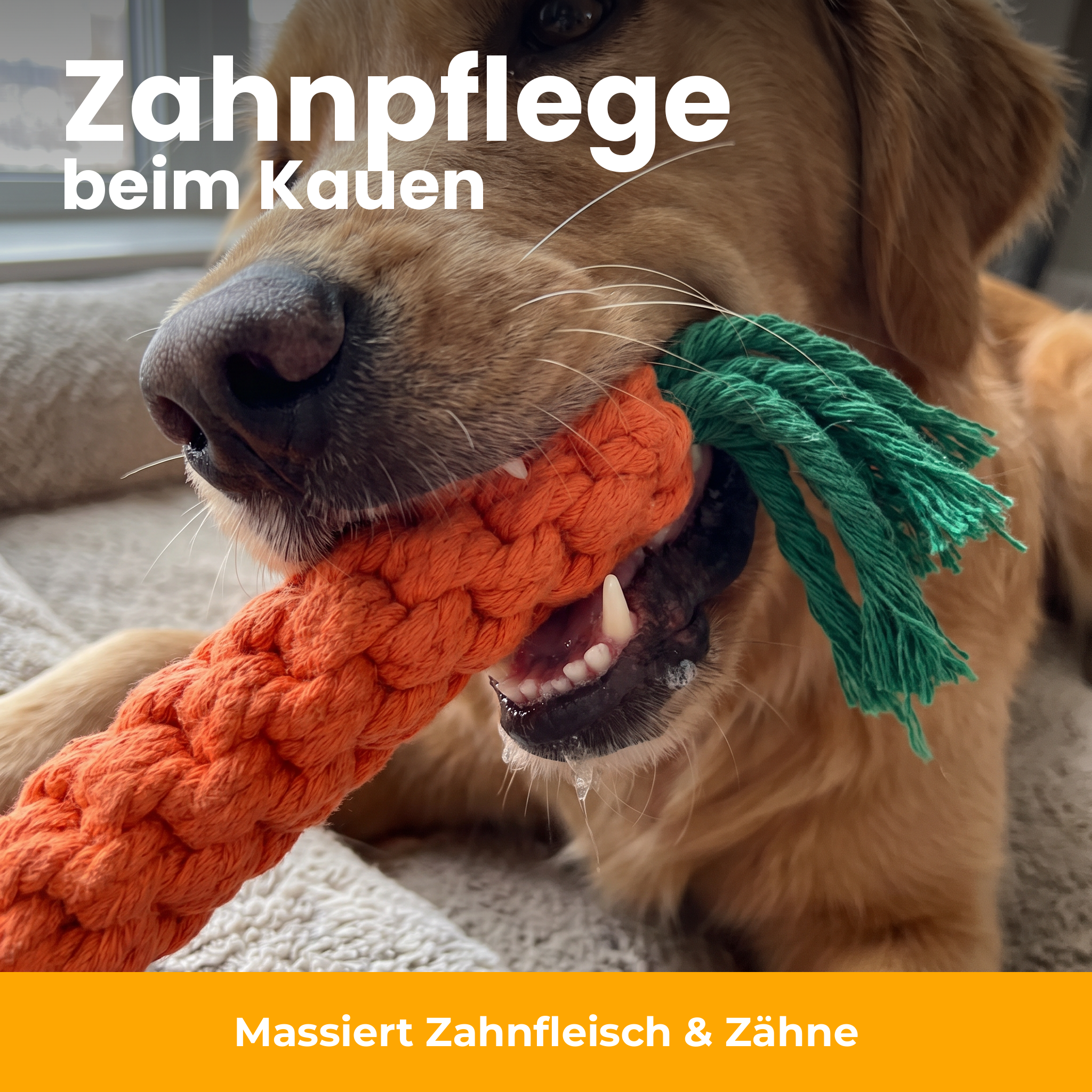 [de] Zahnpflege beim Kauen