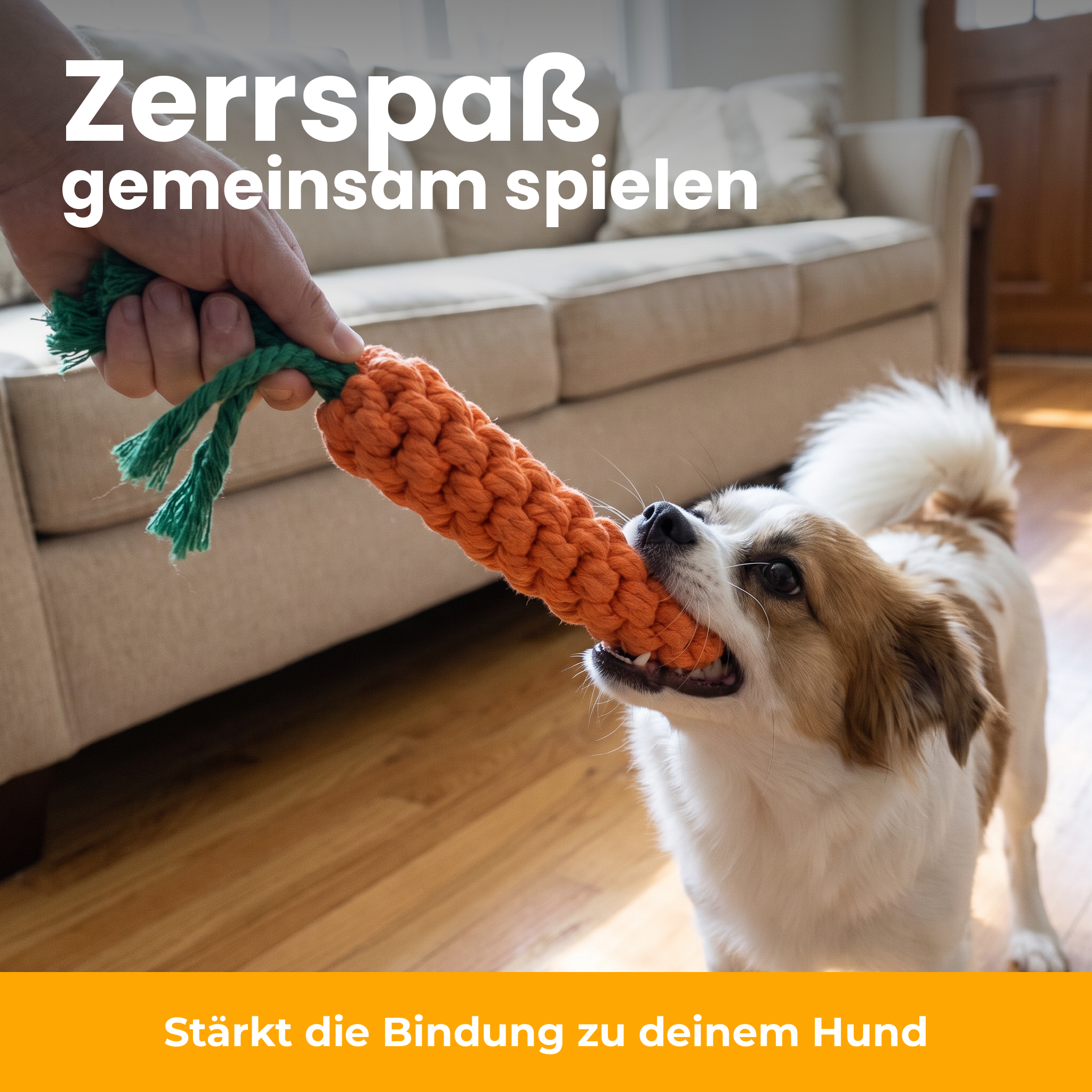 [de] Zerrspaß gemeinsam mit deinem Hund