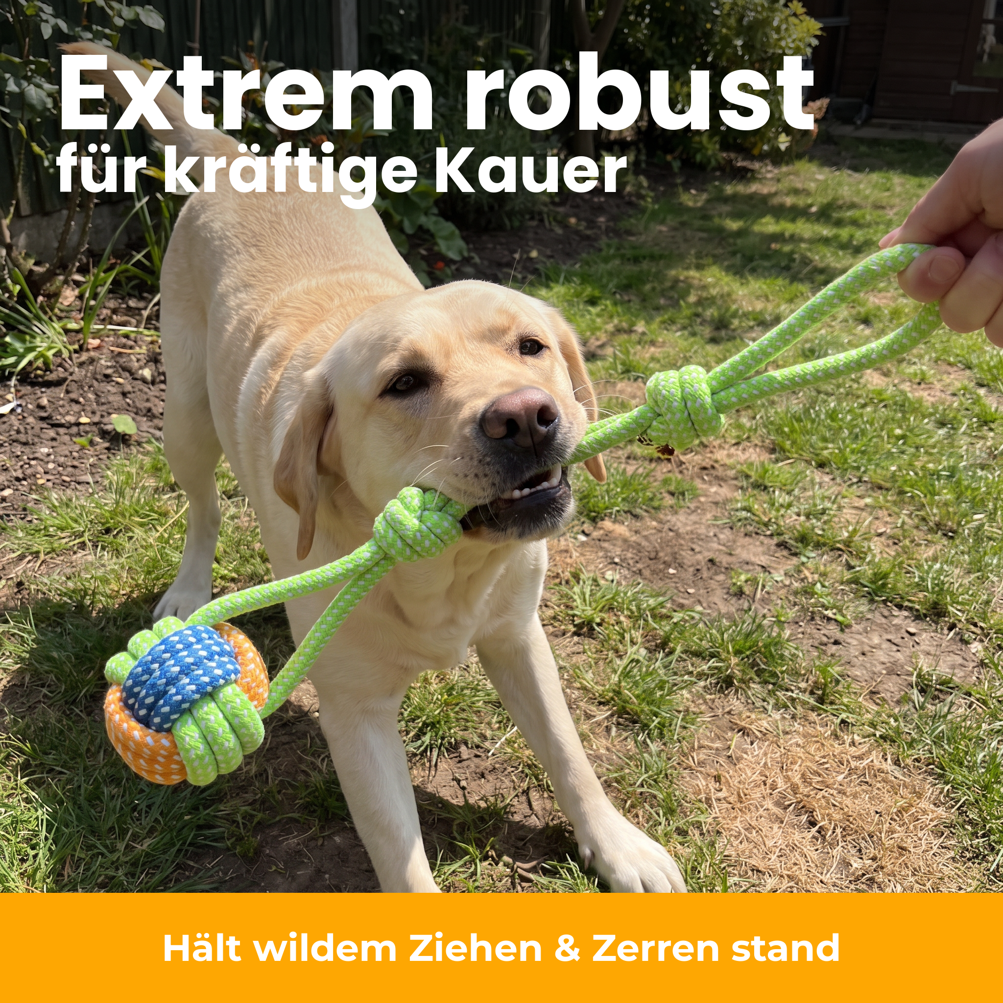 [de] Extrem robust für kräftige Kauer