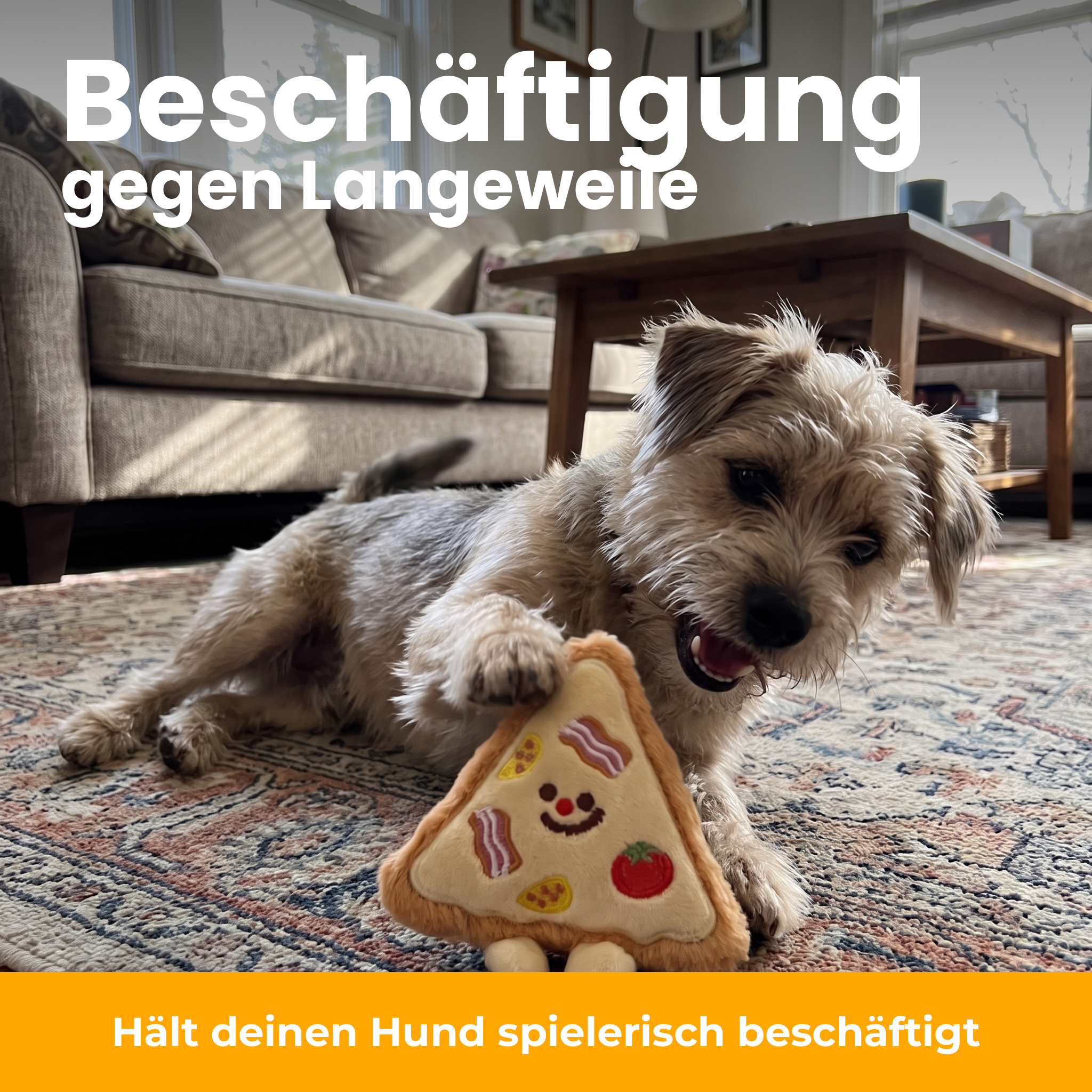 [de] PizzaPfote gegen Langeweile