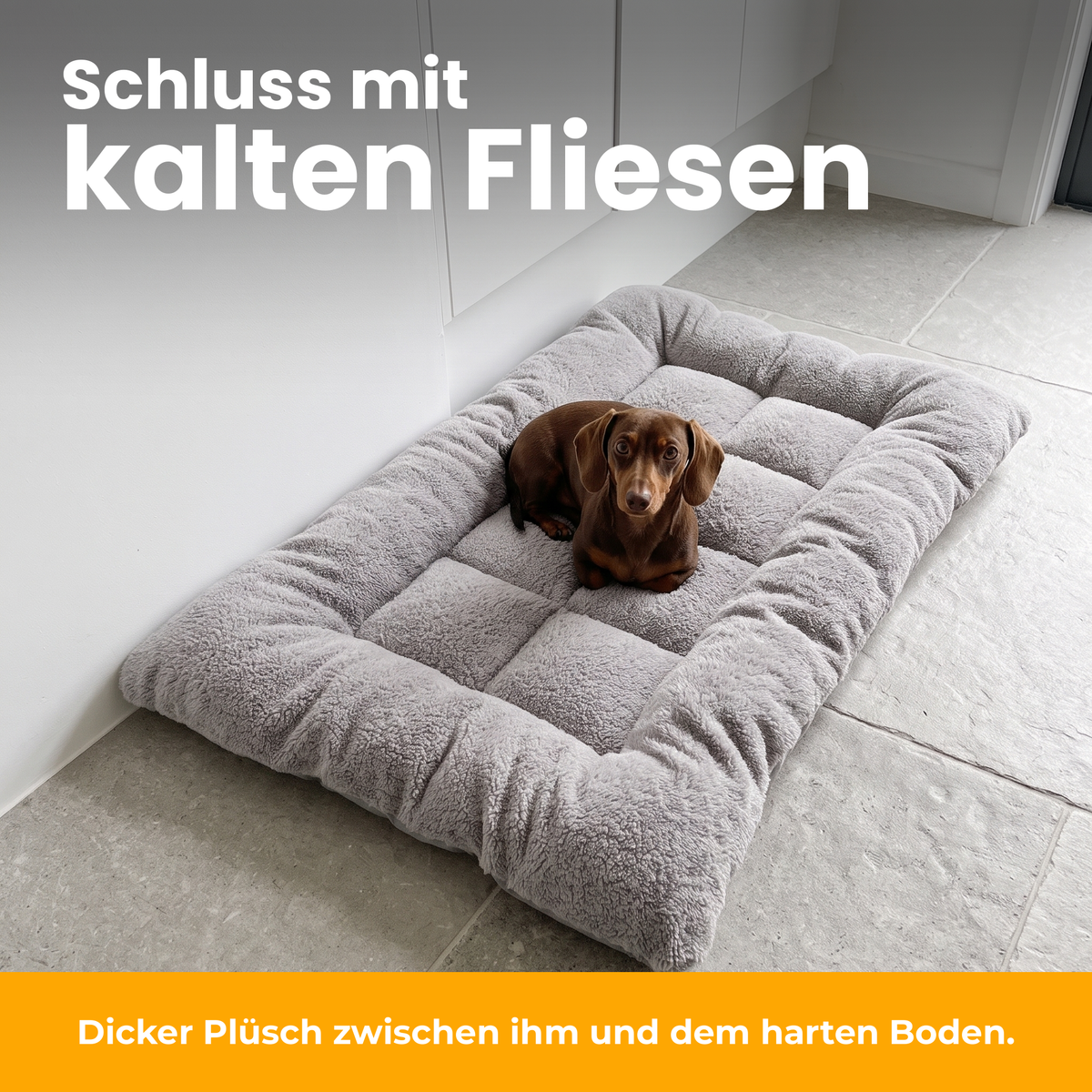 [de] TeddyBed – Dackel liegt im TeddyBed auf kalten Fliesen
